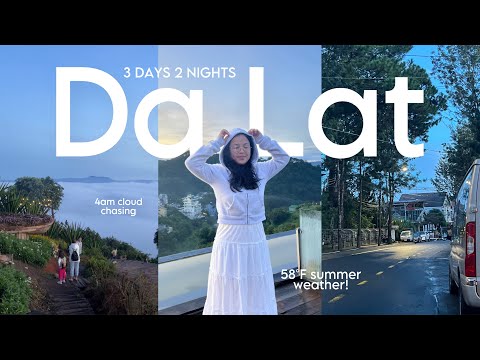 DA LAT VLOG 🧣 vietnam's cold city, cloud-hunting, cafe hopping, aesthetic scenery, night markets ༄