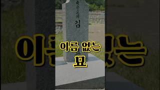 현충원 '유일' 이름 없는 묘