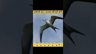 #viral #3amazing #facts #trending #shortvideos #top3amazing