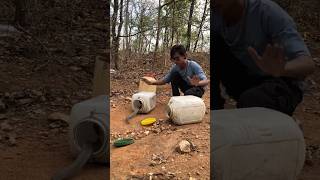 Release 2 Indian rat snake 🐍🥵#viralvideo #youtubegrowth #snakelove #explorepage