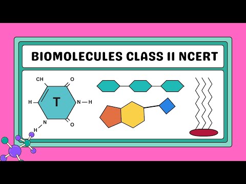 🧬 Biomolecules Made Easy! | Class 11 Biology | CBSE NCERT Explained 📚|  NEET & CBSE Special | PART-2