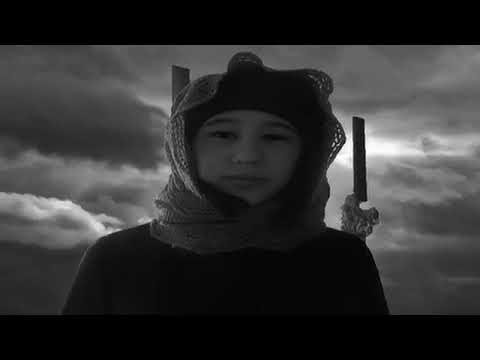 videoplayback