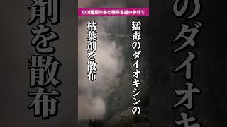 ベトちゃんドクちゃんはベトナム戦争で使用された枯れ葉剤が原因で「結合双生児」として生まれました。#ベトちゃんドクちゃん  #枯れ葉剤 #shorts #シャム双生児 #結合双生児 #ベトナム戦争