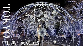 Nakameguro、Daikanyama、Tokyo Dome｜Bistro 、French Restaurant、Illumination｜Japan