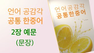 🔊[언어 공감각, 공통 한중어][AUDIO] 2장 예문, 문장