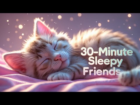 30-Minute Sleepy Friends Lullaby | Relaxing Shhh sound #lullabyforbabies #sleepytime