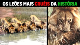 Lion - MAPOGOS THE MOST CRUELEST LIONS IN HISTORY