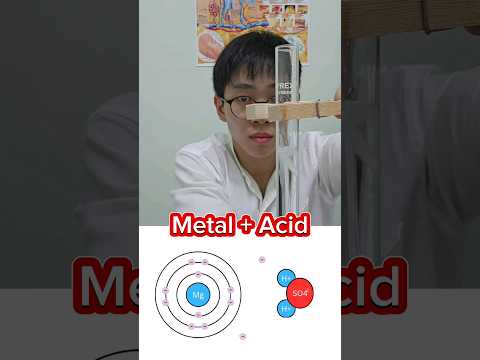 Magnesium vs Sulfuric Acid🧪 #chemistry #acids #science #chemicalreaction #hydrogen #singapore