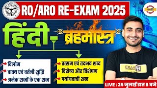 UPPSC RO ARO HINDI MARATHON CLASS | RO ARO RE EXAM HINDI MARATHON CLASS - VIVEK SIR