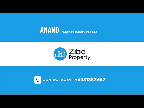 Singapore City Center | Commercial Property | Shop House | Business | Ziba Property