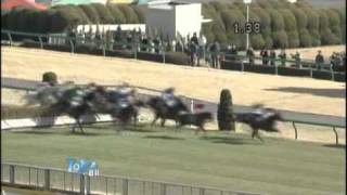競馬、なんか凄いレース「障害競走」