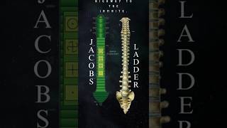 Highway To The INFINITE ⚕️🌀 #shorts #spine #jacobsladder #spiritual #awakening #kundalini #chakra