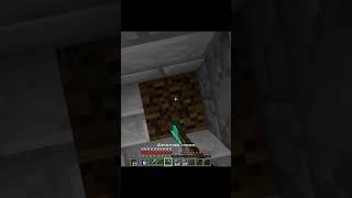 DUMB MINECRAFT MOMENT  #minecraft