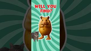 Find Brainrot in Random Location #brainrot #squidgame #quiz #shorts
