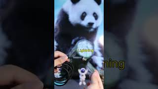 100W Magnetic 3in1 charging cable + data transmission