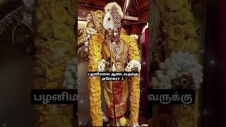 #murugan #muruganslogasmanthras #முருகன்பக்திபாடல்கள் #முருகன்துணை #முருகன் #kanthankarunai #kanthan