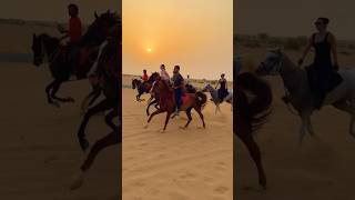 Dubai desert horse riding #horselov #equestrianjourney #horsetrack #horserider #love