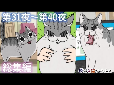 アニメ『夜は猫といっしょ』×10！【第31夜～第40夜まとめ】