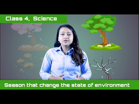 Season that change the state of environment , Class 4,  Science