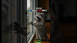 구리구리~🦝 비오는날 김치전해먹기