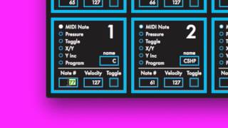 SoftStep Basic Editor: MIDI Notes