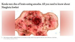 Kerala teen dies of brain-eating amoeba. #braineatingamoeba  #kerala #india  #naegleriafowleri