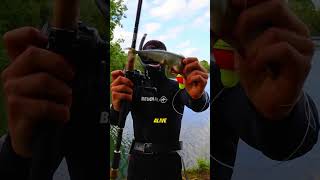 This Fishing Hook Lets You Cheat In The Ocean (IG kanama_bait)