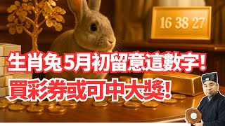 突發！陽曆5月初，生肖兔的橫財運突降！你用這幾個數字買彩票或可中大獎！ #2025年生肖兔運勢 #2025年生肖兔運程 #2025年屬兔運勢 #2025年屬兔運程