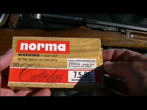 Norma 7.5x55 Ammo Test