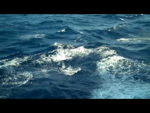 Wave Rainbows