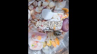 贝壳清洗 | 北海 今日份解压小视频来啦！很多期没有说洗贝壳的细节了，新粉可能不太清楚，今天又啰嗦了一遍，你们用草酸的时候注意一下哈！#解压 #内容启发搜索 #大海的馈赠 #北海#捡贝壳