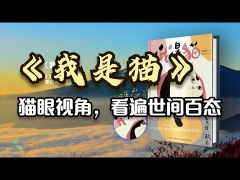 夏目漱石《我是猫》猫眼看世界  猫咪视角看世态炎凉，人生百态