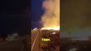 Why do firefighters set fires?