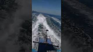 Travel adventure #teamtravel #viralvideo #shorts #bluesea #boat