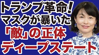 【トランプ革命】イーロン・マスクが暴いた民衆の敵「ディープステート」の正体【河添恵子✕デイリーWiLL】