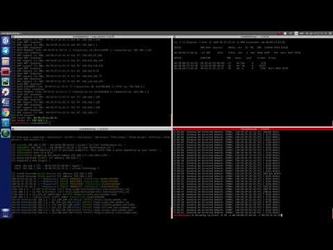 WiFi DHCP MiTM