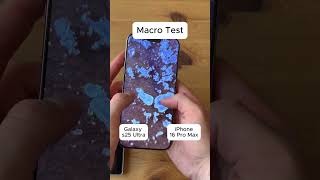 S25 Ultra vs iPhone 16 Pro Max Macro Test 🔍 Insane Detail! #s25ultra #iphone16promax #macro #tech