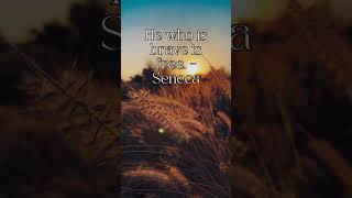 "100 Powerful Life Wisdom Quotes You’ll Never Forget ✨ | Timeless Philosophy"