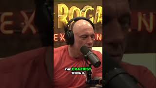 Joe Rogan on How TikTok Made Kids Tech Geniuses 🚀