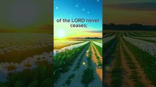 Reflection Sunset: Christian LoFi 🌤️| Chill Worship Beats 🎧| Rest Relax Focus Flow Study Journal 🙏