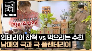 [다시봐야지][악뮤 정주행(12)] 식집사vs연쇄살식범(?) 꾸미기 위해 사는 오빠와 먹기 위해 사는 동생ㅋㅋ｜독립만세｜JTBC 210503 방송