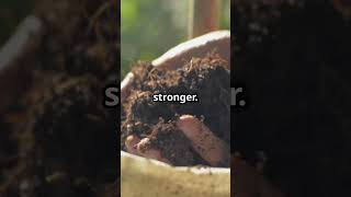 Biochar: The Secret to Thriving Soil #didyouknow #botany #gardeningtips