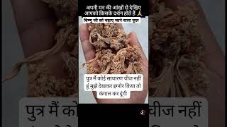 विष्णु जी को चढ़ाए जाने वाला फूल #vishnu #vishnupurana #vishnumantra