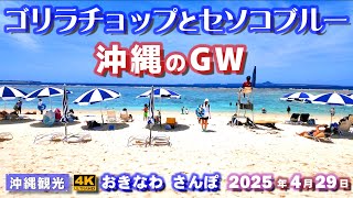 ◤沖縄旅行◢ ゴリラチョップと瀬底島 ♯973 おきなわさんぽ沖縄散歩 Diving spot "Gorilla Chop" and the Sesoko Blue of Sesoko Island.
