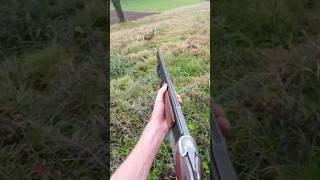 Hare hunting goes wrong, how did I miss That?