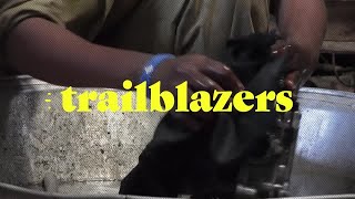 Somali woman defies gender norms as car mechanic in Mogadishu | REUTERS