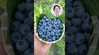 到底吃什么才能让皮肤变白？? 变美 水果 美白 变白 硬核健康科普行动