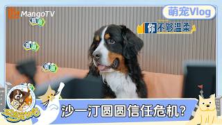 FULL《你就宠ta吧》萌宠Vlog EP1：沙一汀现场调解圆圆和狗PD关系 颜安带包包一秒入戏 | Go Go Goal | MangoTV Family