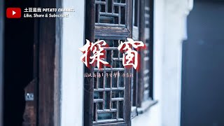 探窗 - 国风新语 | 浮生梦 | 汐音社【她唱着 他乡遇故知 一步一句是相思】