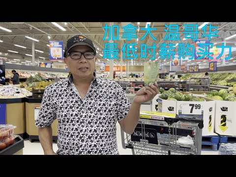 温哥华最低日薪
$140的购买力